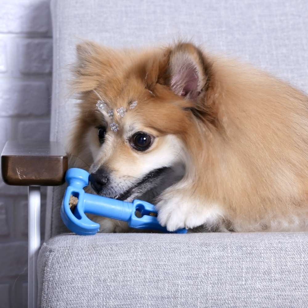 Brinquedo Pet Play Martelo Azul - Tam. Único