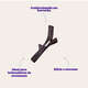 Brinquedo Pet Play Graveto Marrom