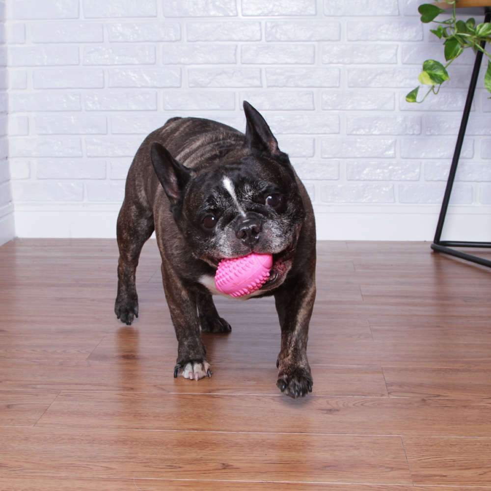Brinquedo Pet Play Bola de Futebol Americano Rosa - Tam. Único