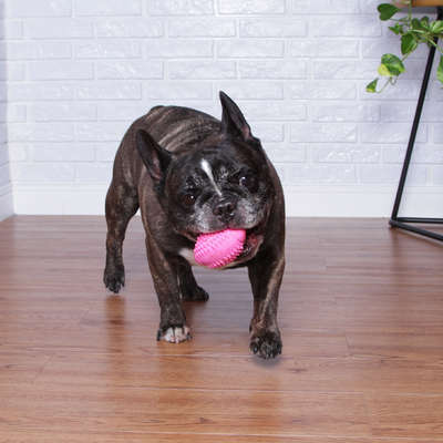 Brinquedo Pet Play Bola de Futebol Americano Rosa