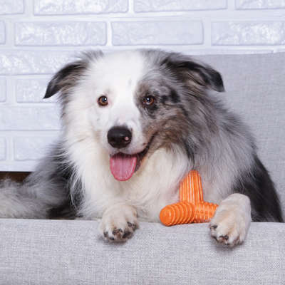 Brinquedo Mordedor Pet Games 4 Dogs Soft Laranja