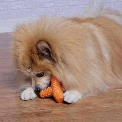 Brinquedo Mordedor Pet Games 4 Dogs Soft Laranja