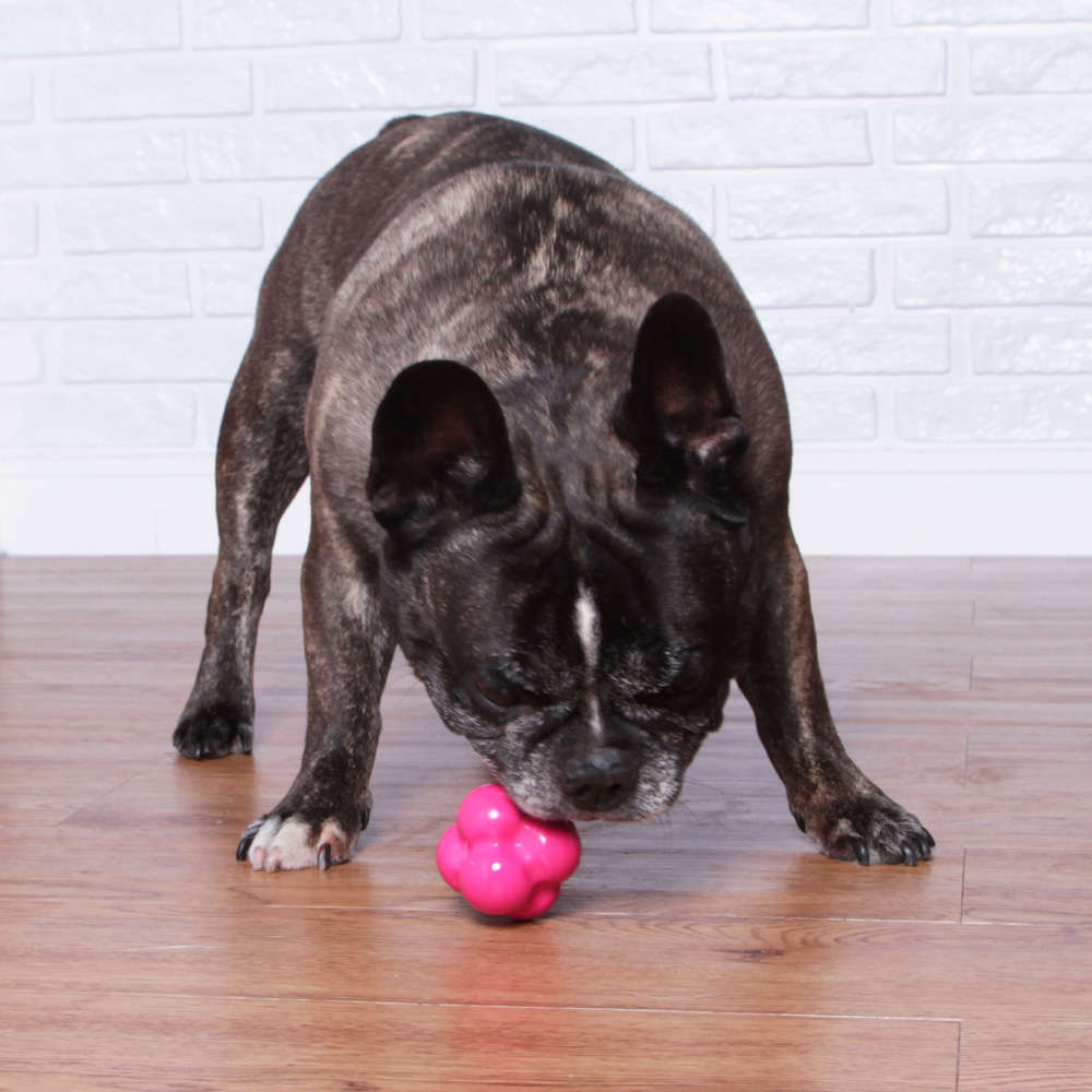 Brinquedo Bola Maciça Átomo 6 em 1 Pink para Cães - Tam. M