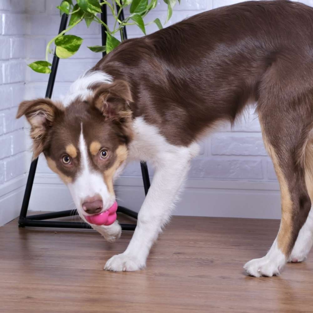 Brinquedo Bola Maciça Átomo 6 em 1 Pink para Cães - Tam. G