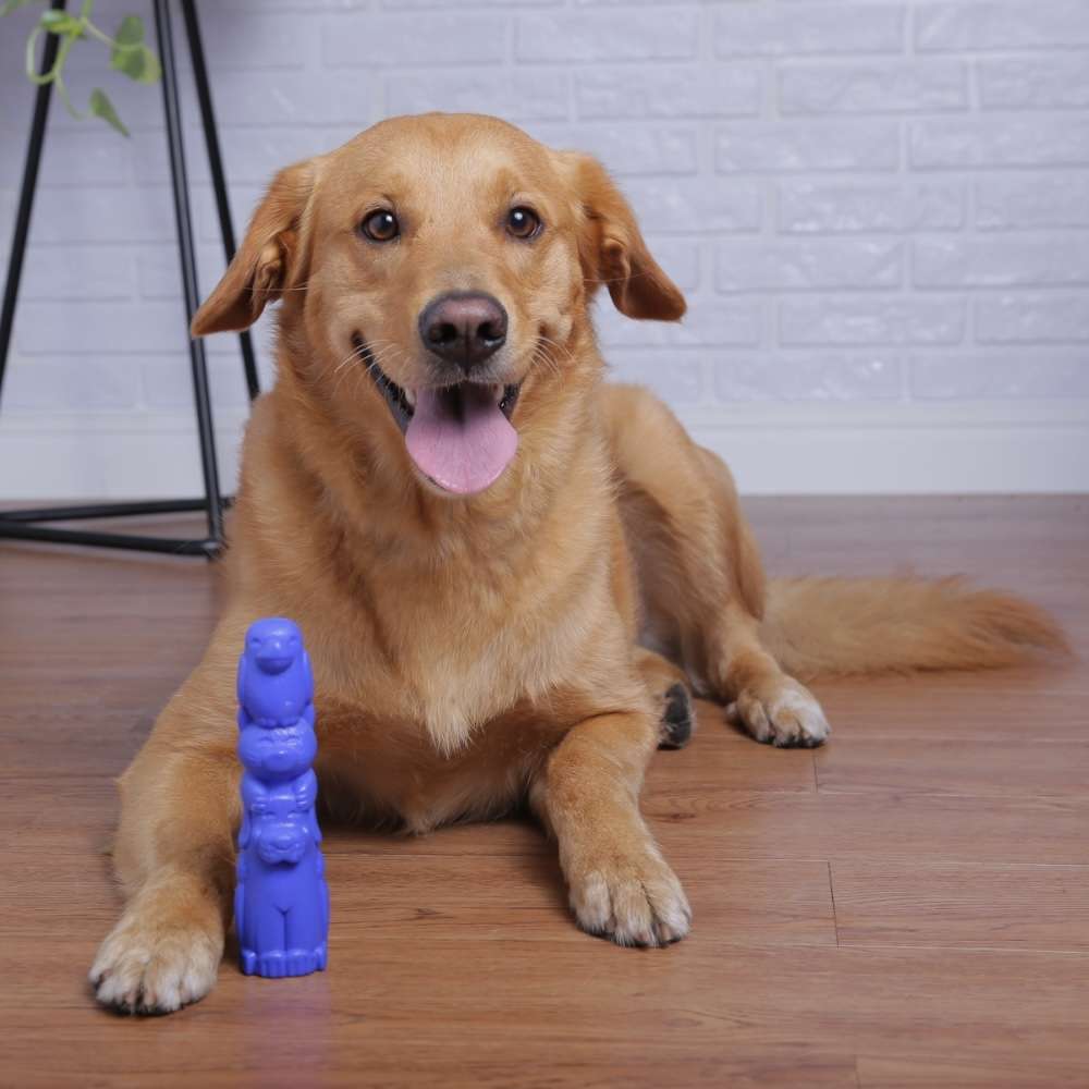Brinquedo Pet Games Mordedor Totem Nylon Azul - Tam. G