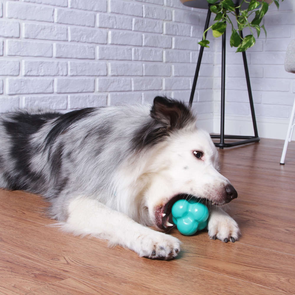 Brinquedo Bola Maciça Átomo 6 em 1 Verde Água para Cães - Tam. G