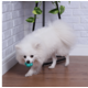 Brinquedo Bola Maciça Átomo 6 em 1 Verde Água para Cães