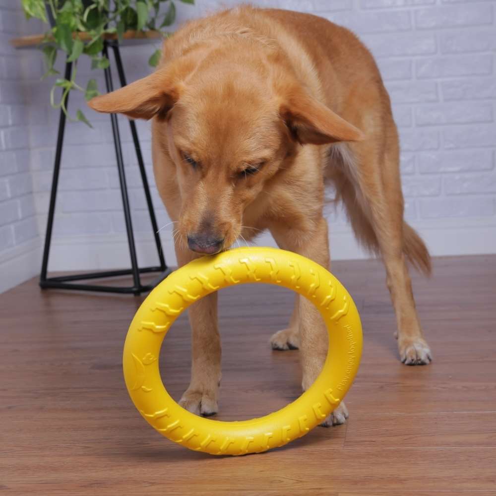 Brinquedo Jambo Mordedor Anel Ring Strong Amarelo - Tam. Único
