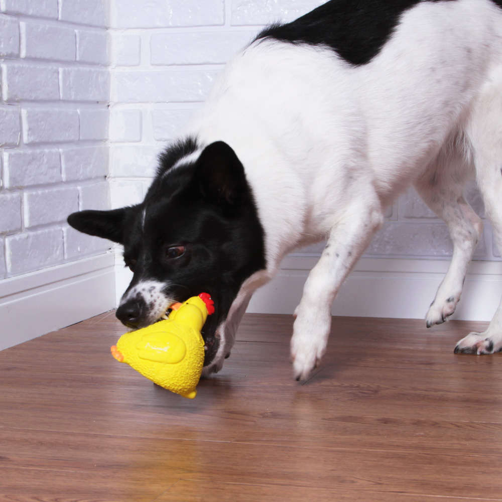 Brinquedo Galinha Dourada Textures para Cães - Tam. Único