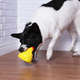 Brinquedo Galinha Dourada Textures para Cães