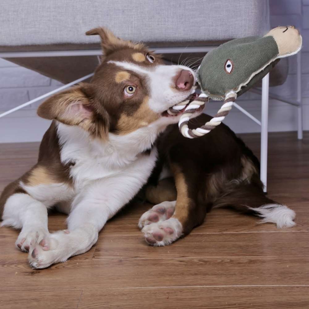 Brinquedo Canvas Cabra para Cães - Tam. Único