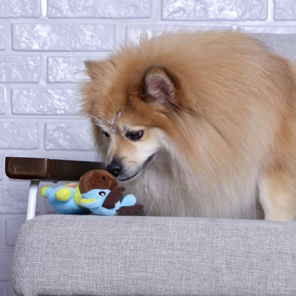 Brinquedo Pelúcia Burrinho para Cães - Tam. Único