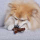 Brinquedo Pet Play Graveto Marrom