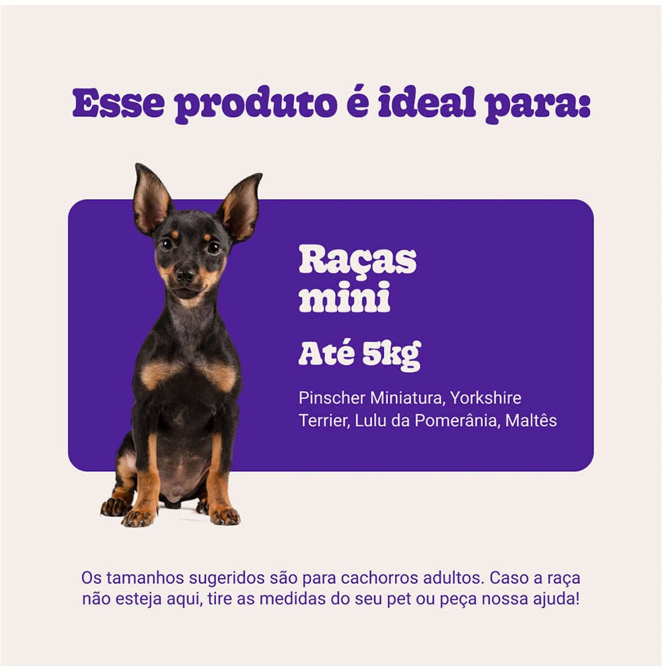 Brinquedo Bola de Tênis Extra Forte Pequeno para Cães - 2 Unidades