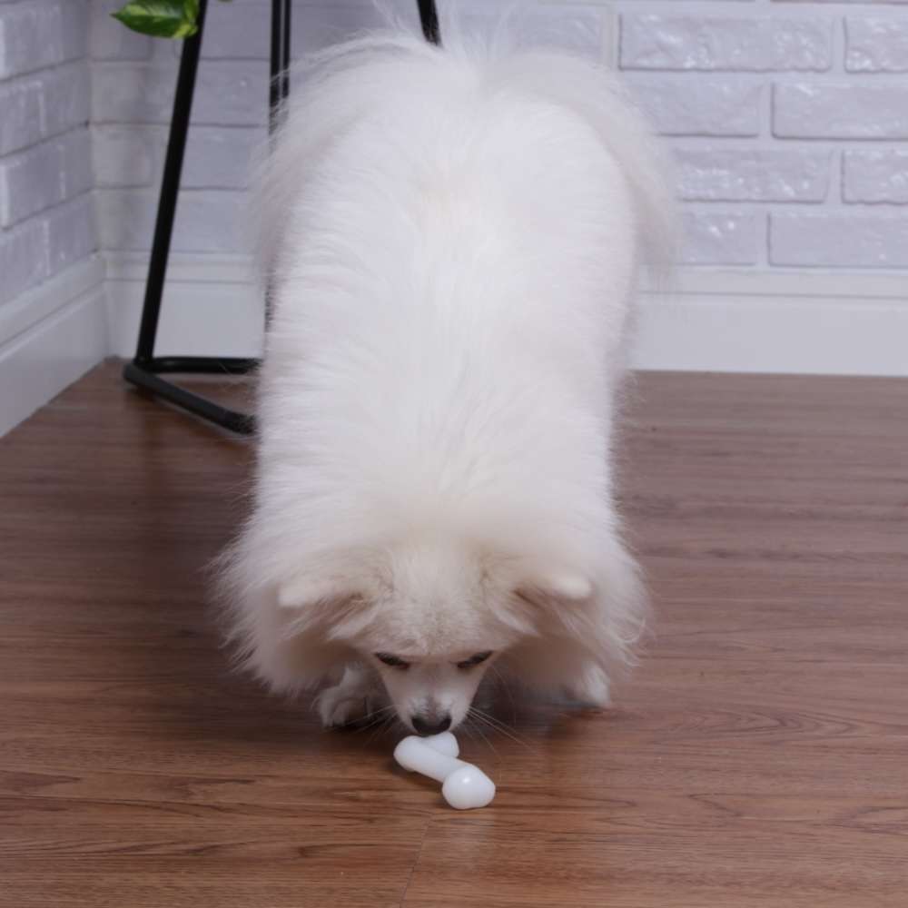 Brinquedo LCM Ossinho de Nylon Duraflex Branco - Tam. P