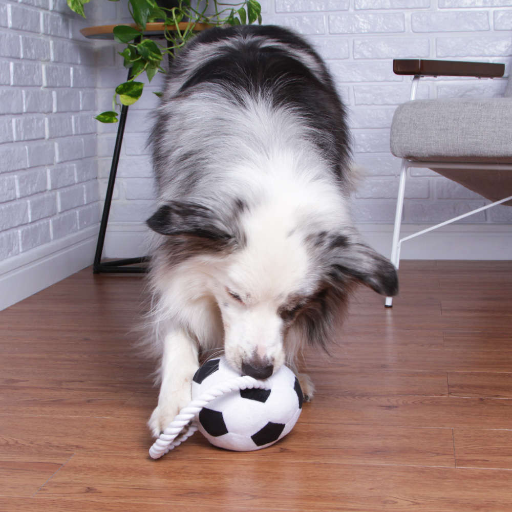 Brinquedo Pelúcia Bola de Futebol com Puxador para Cães - Tam. Único