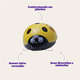 Brinquedo The Crazy Escape com Movimento para Cães