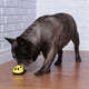 Brinquedo The Crazy Escape com Movimento para Cães