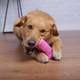 Escova Dental Truqys Pets Rosa para Cães