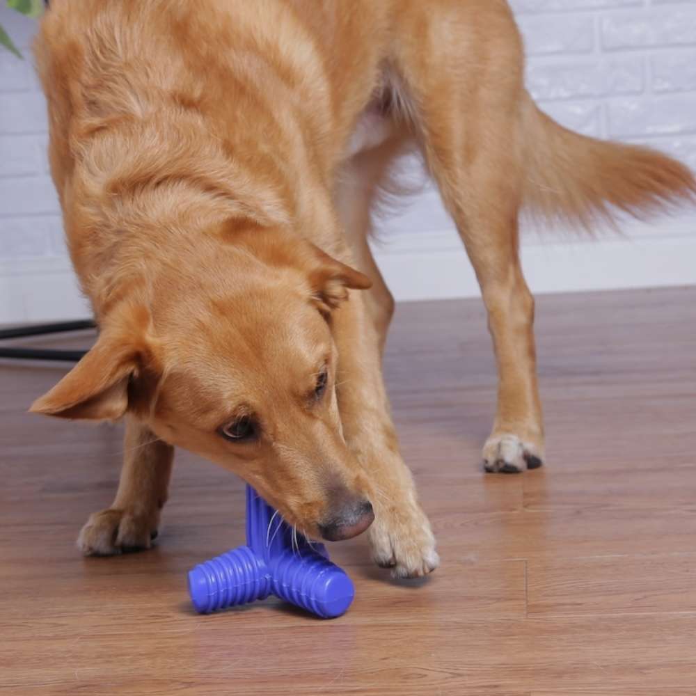 Brinquedo Mordedor Pet Games 4 Dogs Nylon Azul - Tam. G