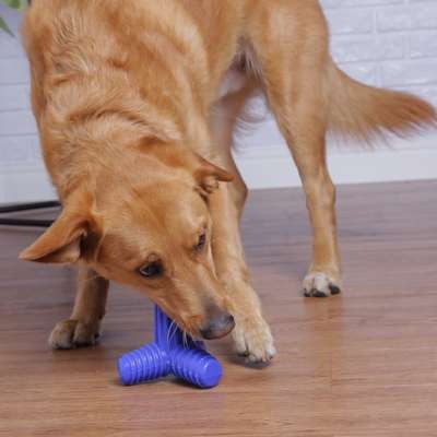 Brinquedo Mordedor Pet Games 4 Dogs Nylon Azul