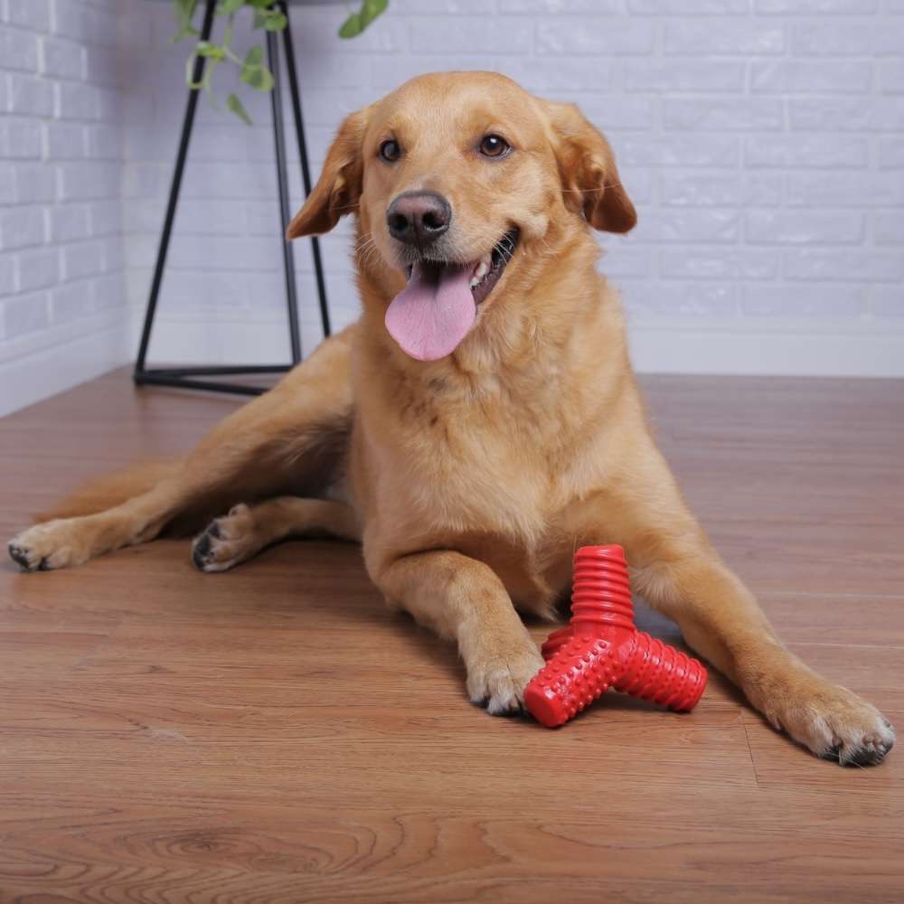 Brinquedo Mordedor Pet Games 4 Dogs Nylon Vermelho - Tam. G