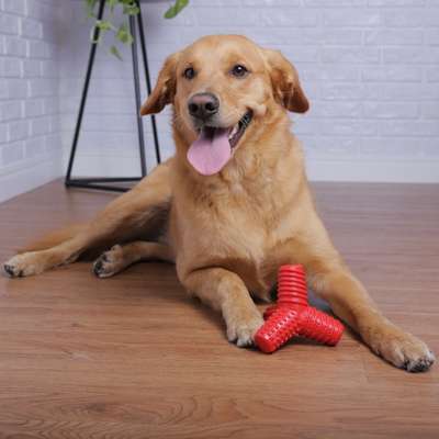 Brinquedo Mordedor Pet Games 4 Dogs Nylon Vermelho