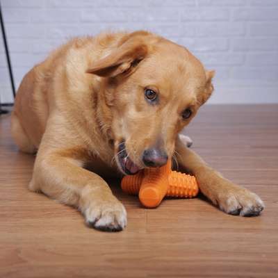 Brinquedo Mordedor Pet Games 4 Dogs Soft Laranja