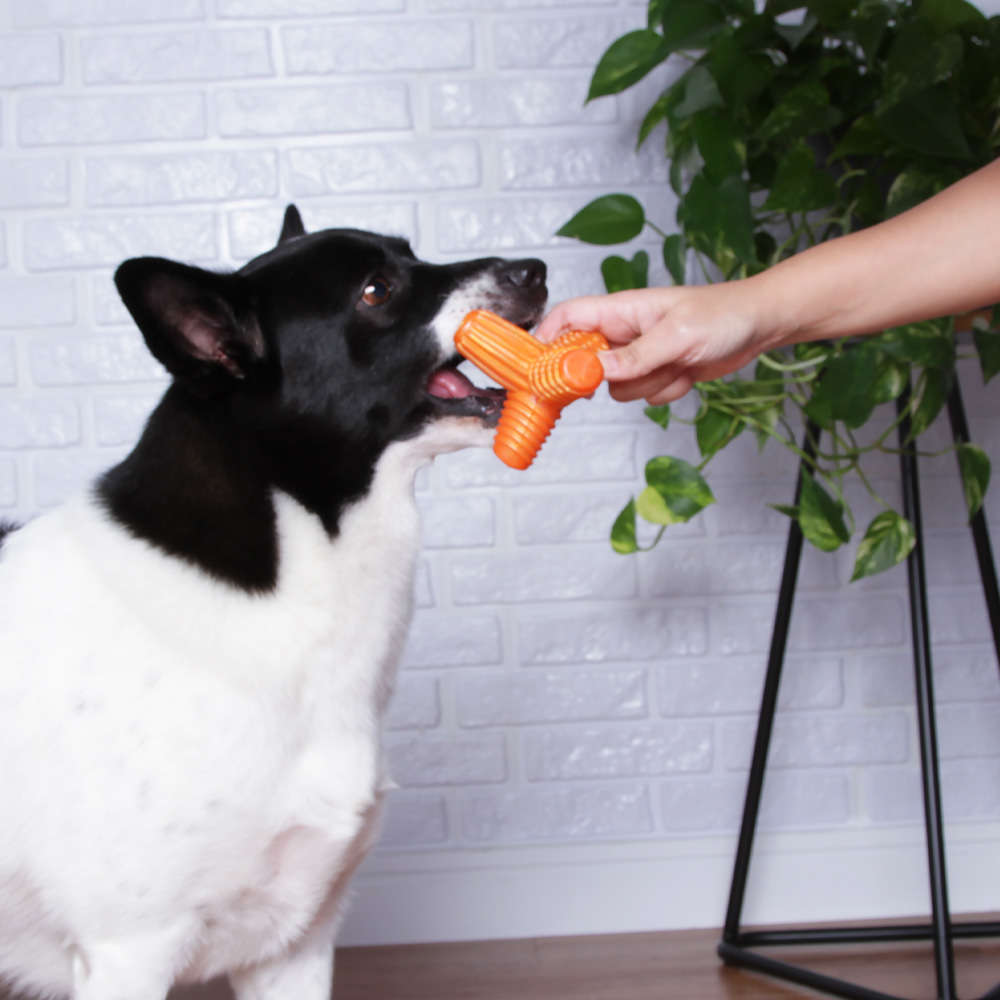 Brinquedo Mordedor Pet Games 4 Dogs Soft Laranja - Tam. P