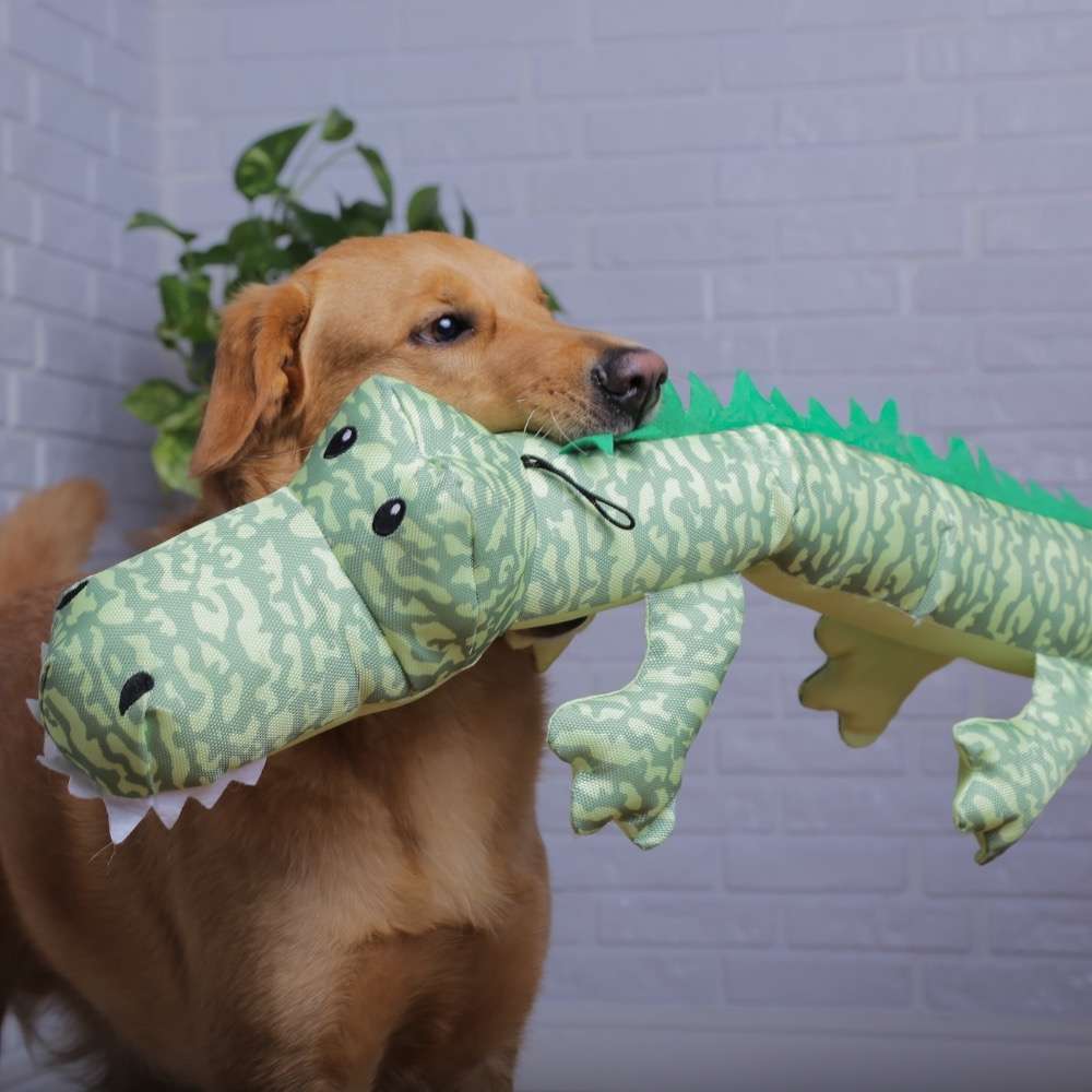 Brinquedo Jambo Mordedor Pelúcia Jacaré Long Verde - Tam. GG