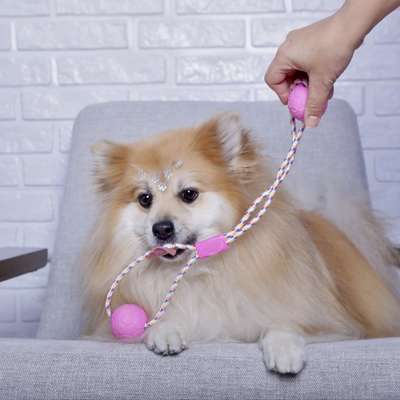 Brinquedo Duo Ball Divercão Rosa