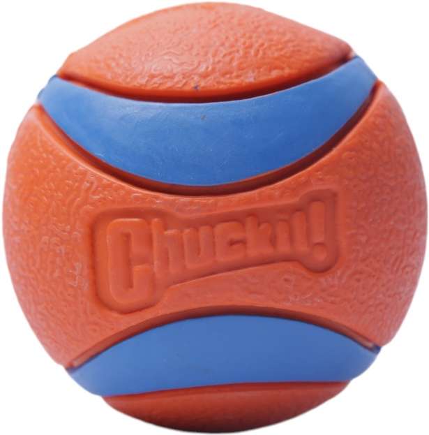 Brinquedo Chuckit Bola Ultra Ball 2 Unidades - Tam. M