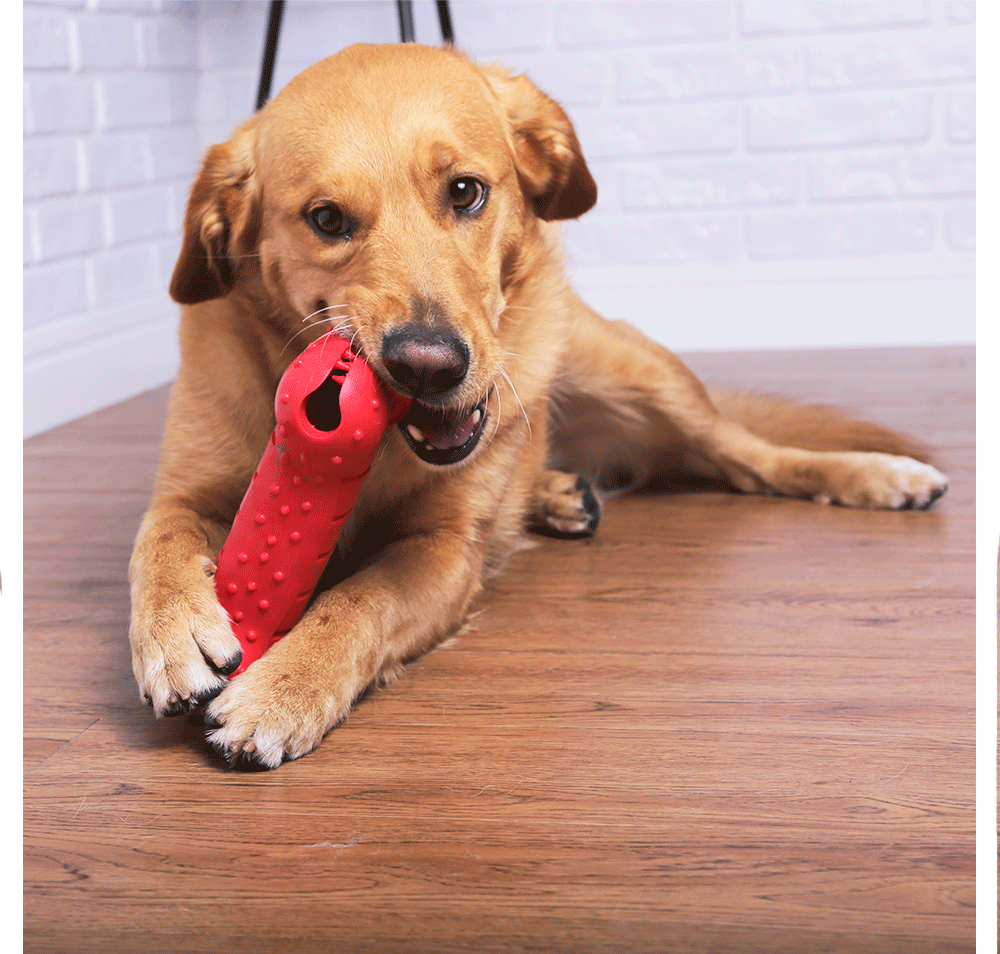 Brinquedo Durabone Solapa para Cães - Tam. G