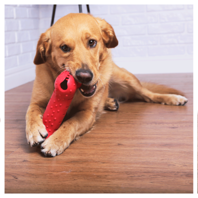 Brinquedo Durabone Solapa para Cães