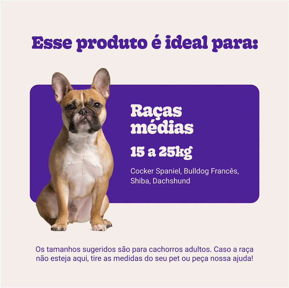 Brinquedo Pelúcia Bola de Futebol com Puxador para Cães - Tam. Único