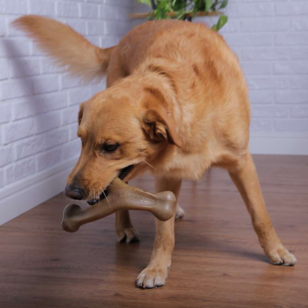 Brinquedo Benebone Wishbone Bacon (BB870400) - Tam. G
