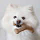 Brinquedo Benebone Wishbone Bacon