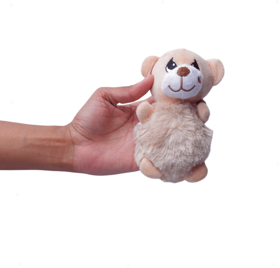 Brinquedo Pelúcia Ursinho para Cães - Tam. Único