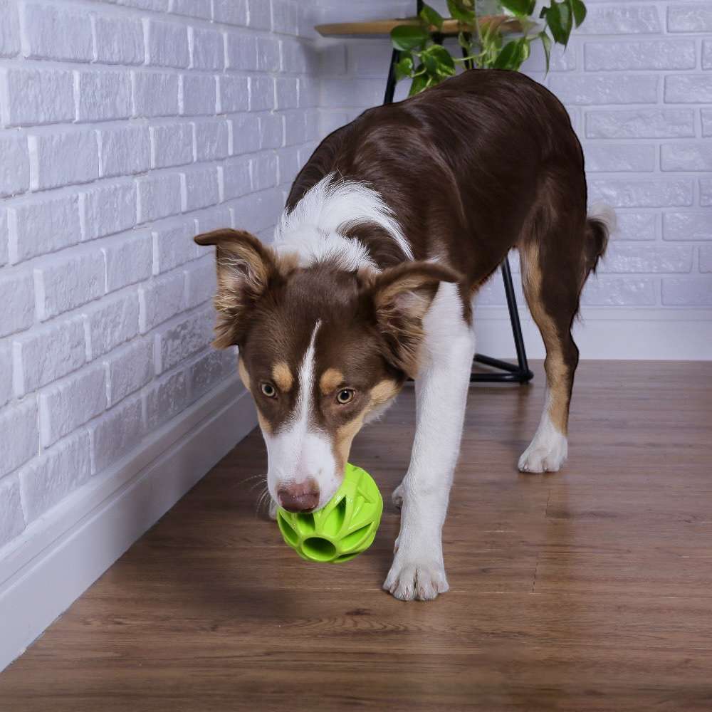 Brinquedo Bola Megalast Verde para Cães - Tam. G