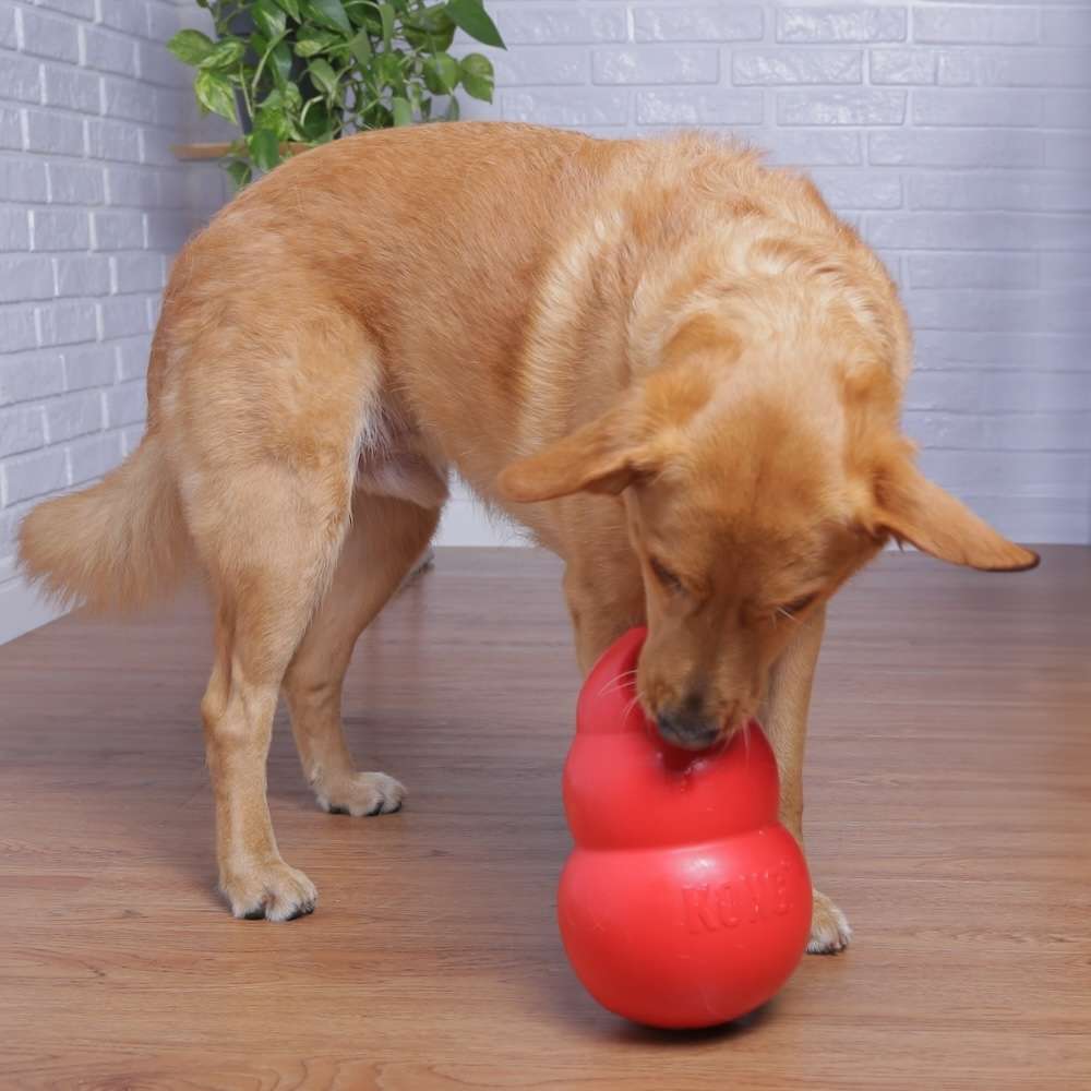 Brinquedo KONG Bounzer (PBX) - Tam. GG
