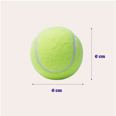 Brinquedo Kit com 3 Bolas de Tênis Amarela para Cães