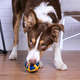 Brinquedo LCM Bola de Borracha Natural Big Dog Maciça Mescla
