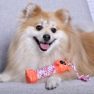 Brinquedo de Vinil LCM Cachorro com Corda Laranja