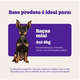 Brinquedo Dental Bone