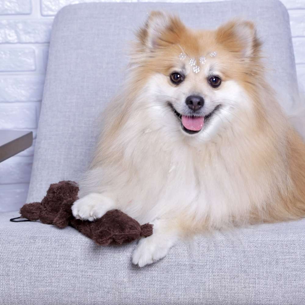 Brinquedo Jambo Mordedor Barriguinha Plush Cão Marrom - Marrom