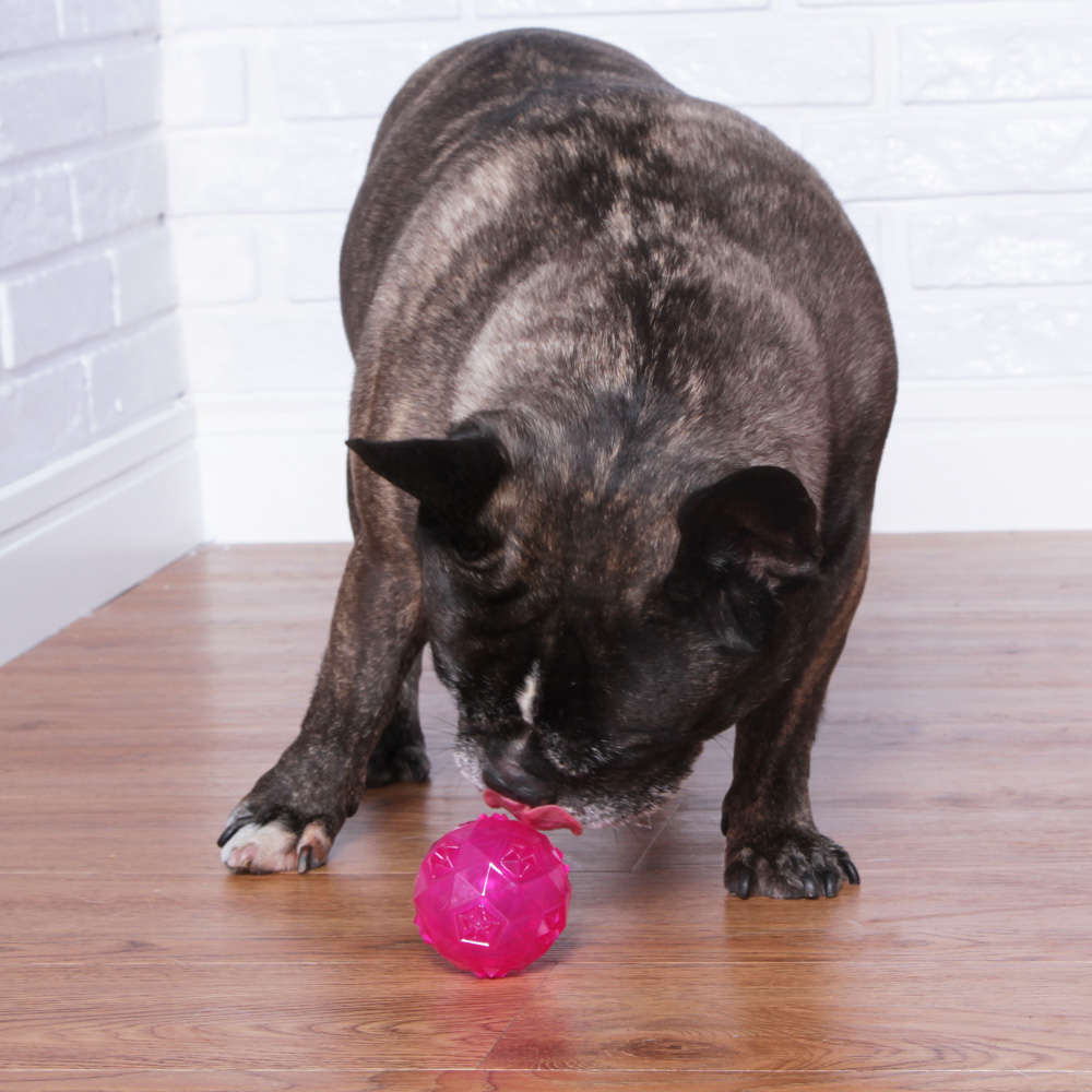 Brinquedo Jambo Bola Diamond Rosa - Tam. P