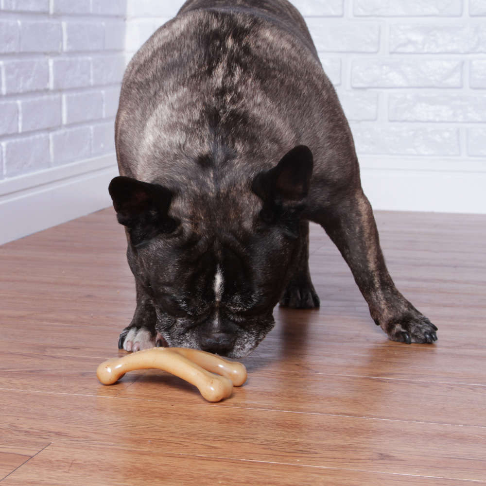 Brinquedo Benebone Wishbone Frango (840500) - Tam. P