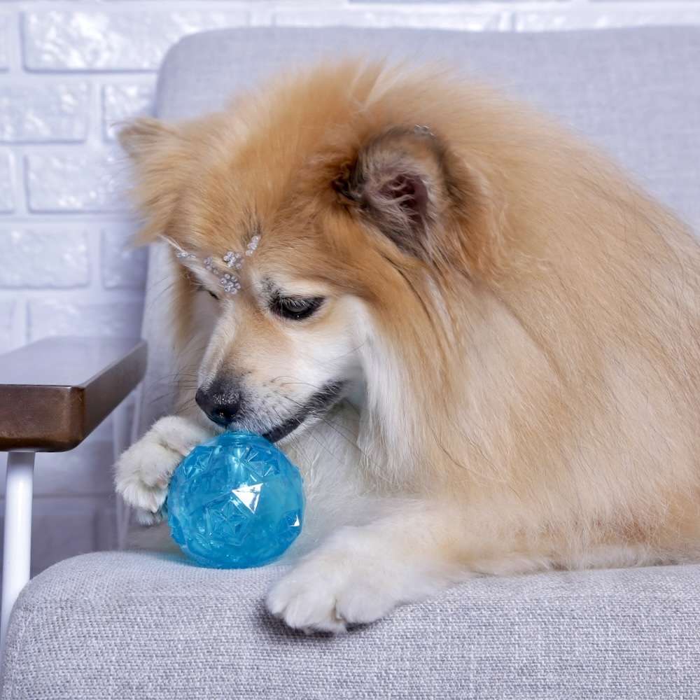 Brinquedo Jambo Bola Diamond Azul - Tam. P