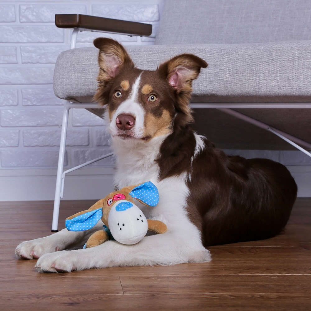 Brinquedo Chalesco Pelúcia Smart Dog para Cães - Tam. Único