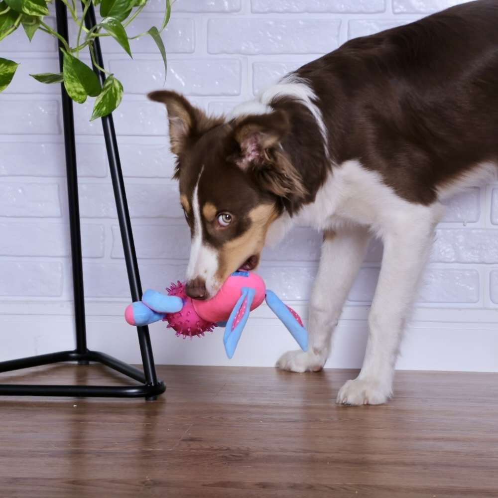 Brinquedo Chalesco Pelúcia Smart Rabbit para Cães - Tam. Único